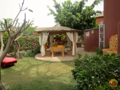 Jardin - Image 7