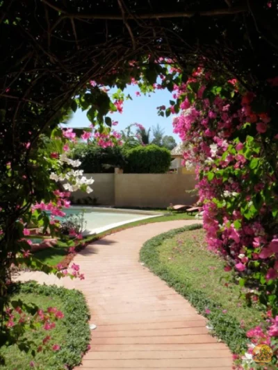 Jardin - Image 1
