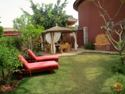 Jardin - Image 5