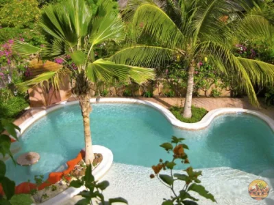 Piscine privée - Image 7