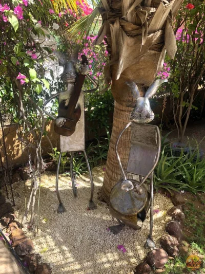 Jardin - Image 12