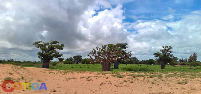 Image Vacances au Sénégal avantages