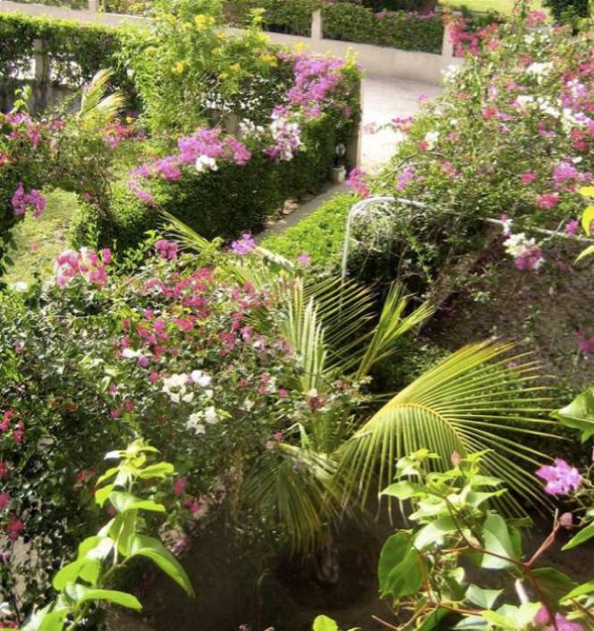 Photo 10 du Le jardin de la maison