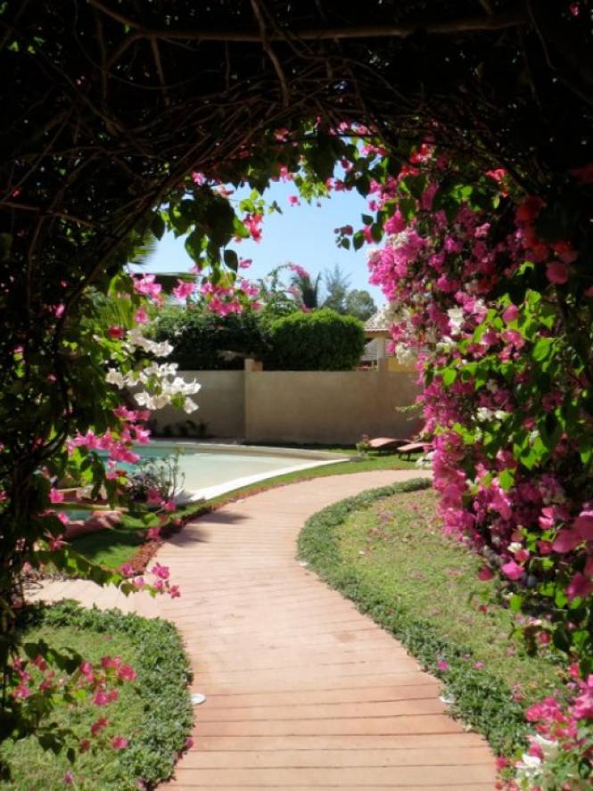 Photo 1 du Le jardin de la maison